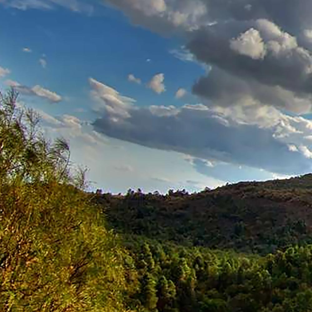 vista del vesuvio