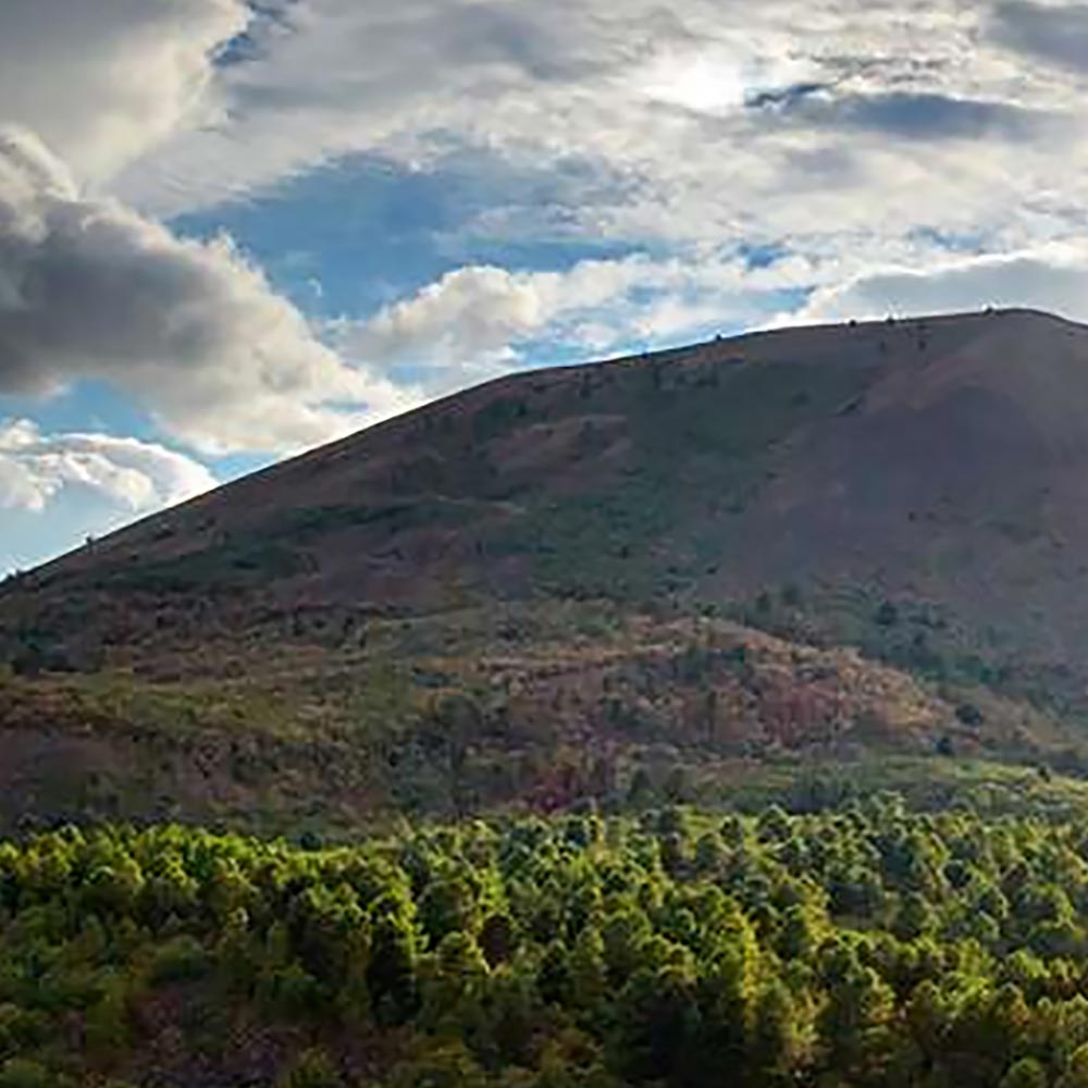 vista del vesuvio