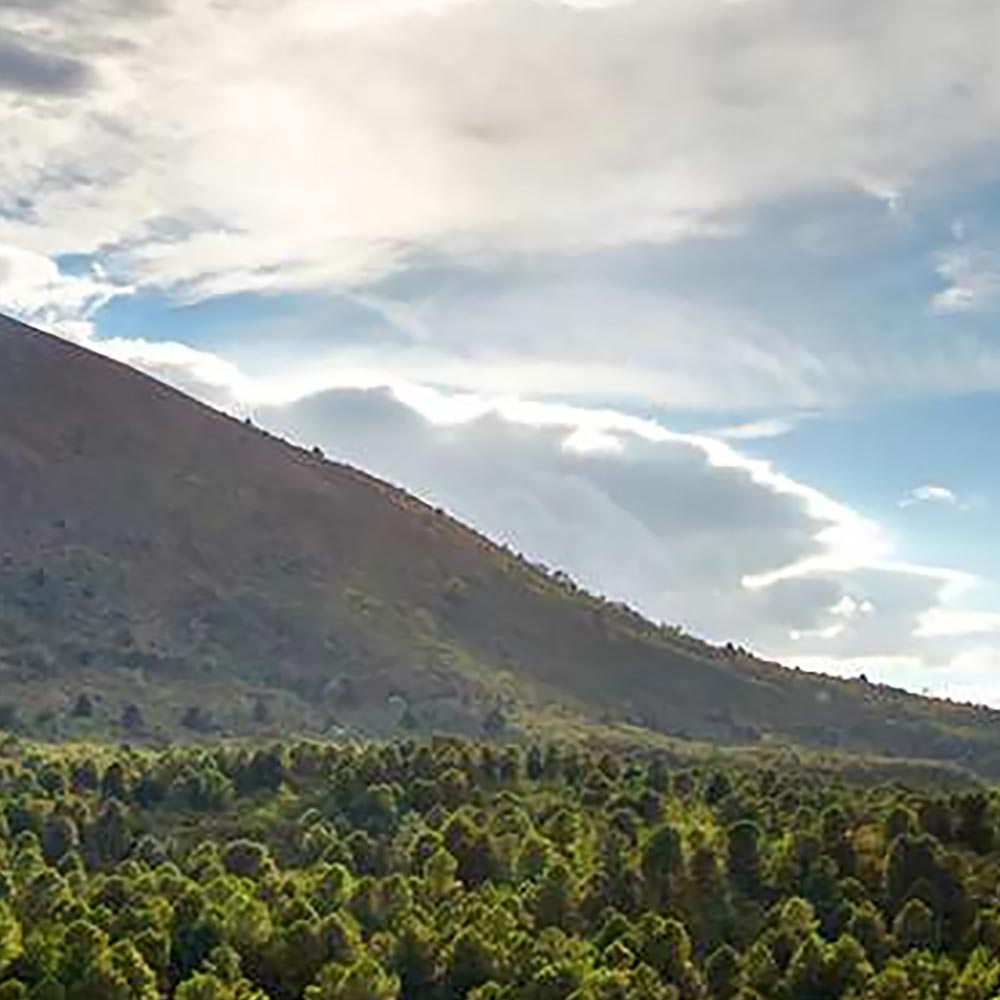 vista del vesuvio