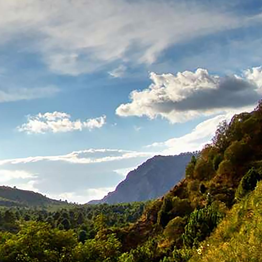vista del vesuvio